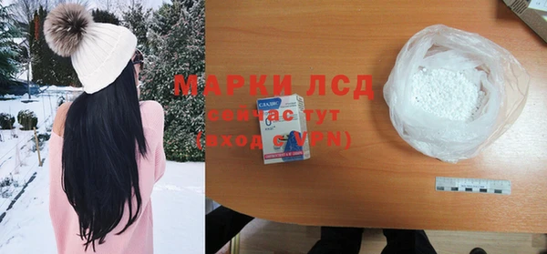 гидра Аркадак