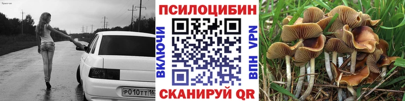 ОМГ ОМГ как войти  Солигалич  Псилоцибиновые грибы Psilocybe 